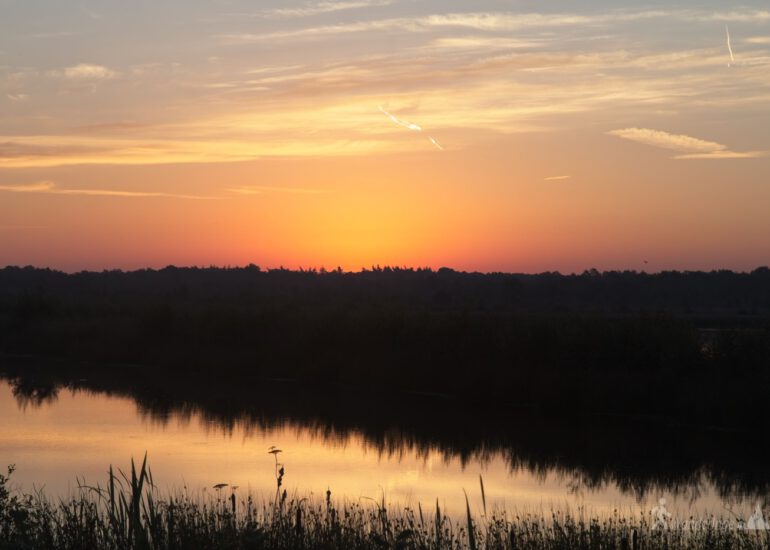 The Sound of Silence